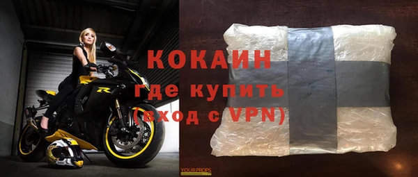 гидра Абаза