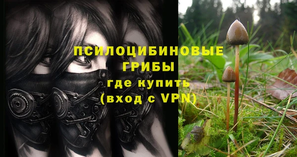гидра Абаза