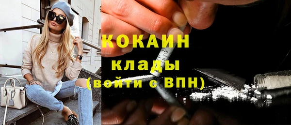 гидра Абаза